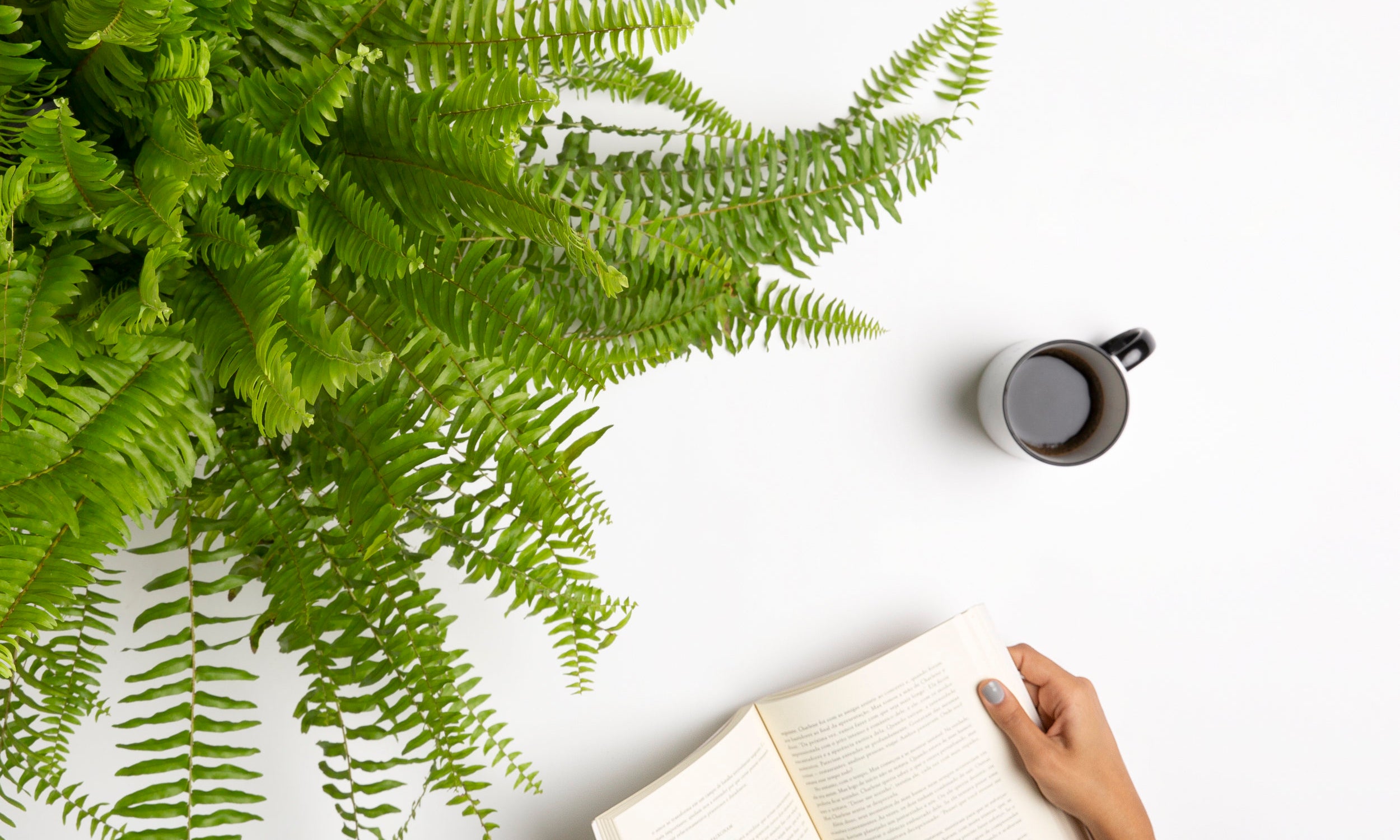 O que seu Gosto Literário Diz Sobre o seu Estilo