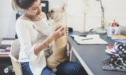 Dicas para morar e estudar em Paris por Tati Baronian