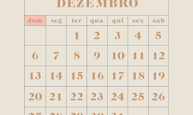 Tipos De Agenda | Como Escolher o Melhor Planner