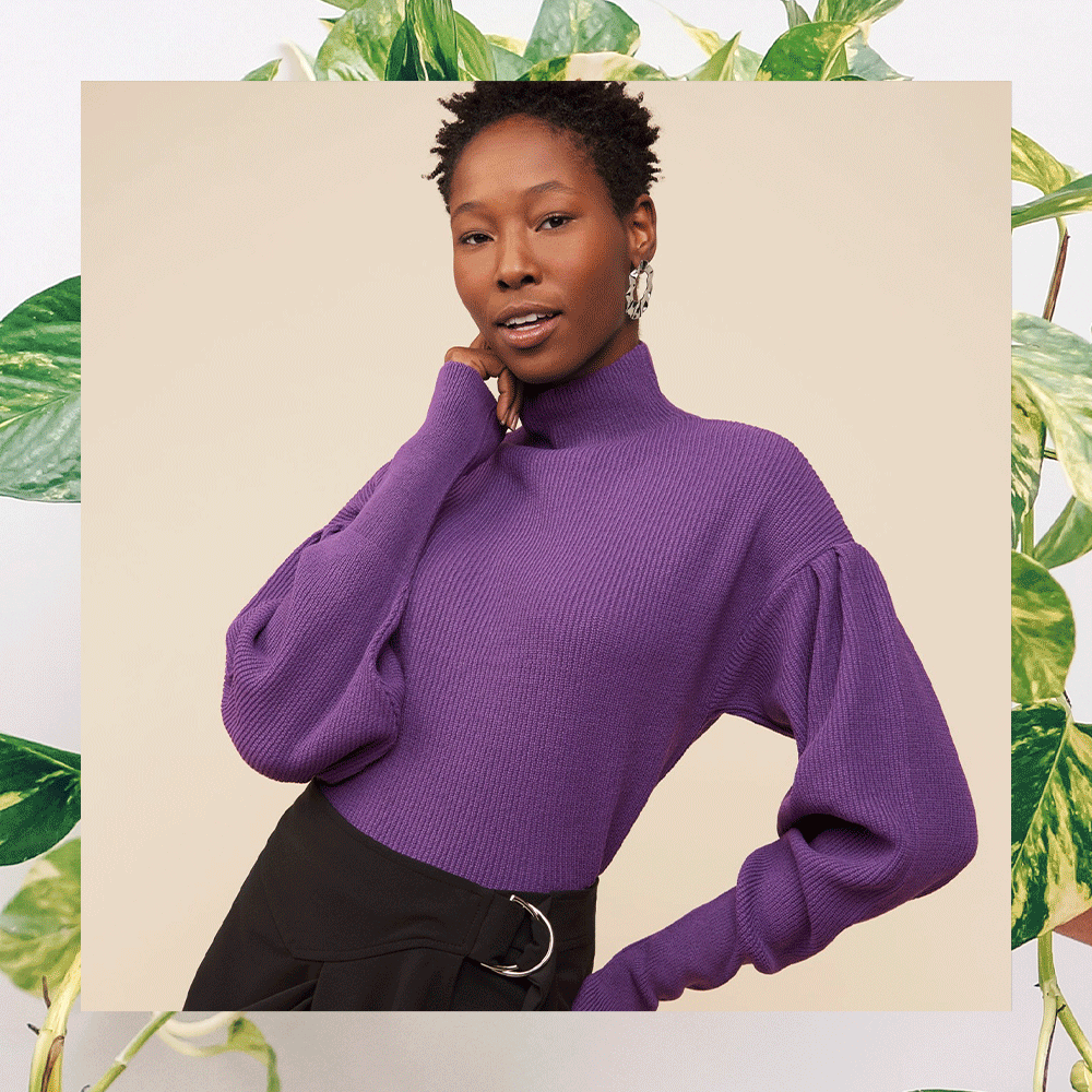 As Melhores Plantas Para Ter Dentro de Casa