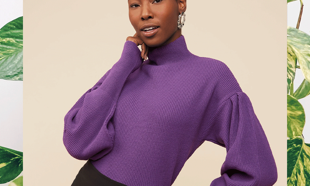 As Melhores Plantas Para Ter Dentro de Casa