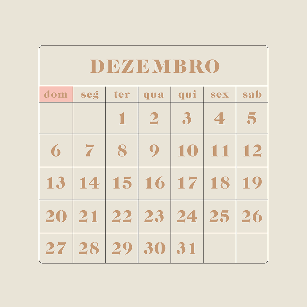 Planos para o Próximo Ano: Saiba Como Organizar suas Metas em 2022