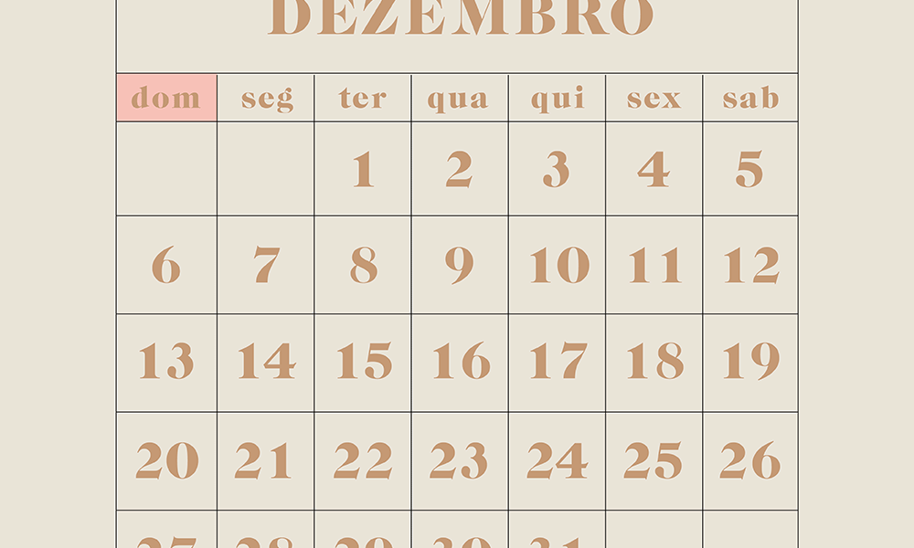 Planos para o Próximo Ano: Saiba Como Organizar suas Metas em 2022