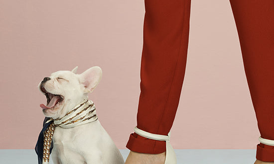 #AMAROshoes + Puppies