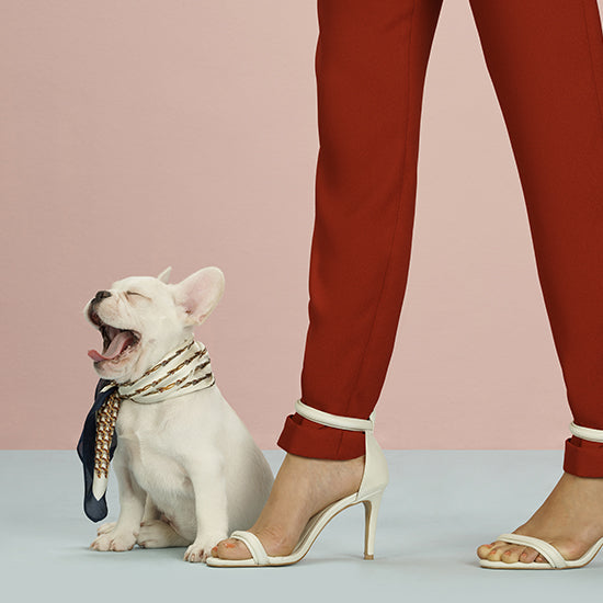 #AMAROshoes + Puppies